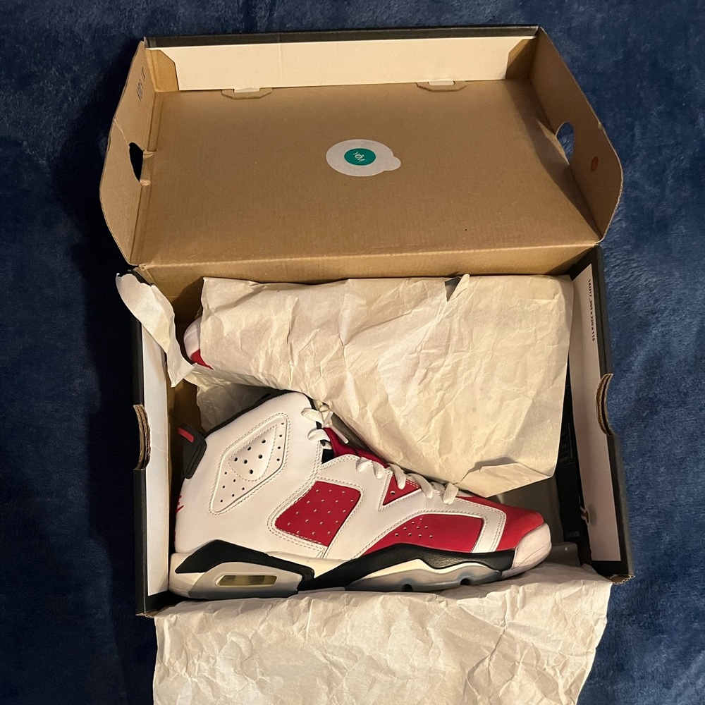 Jordan 6 Carmines